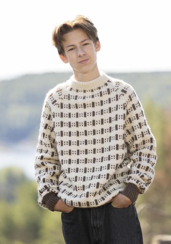 "Eddi" genser kit - Viking Design 2330-8 - Udsalg på garn!